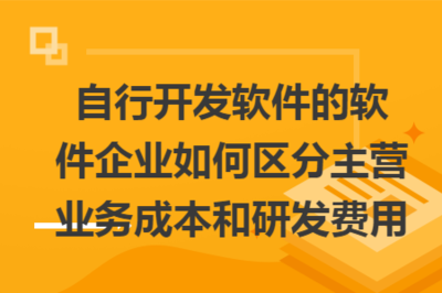 自行開發(fā)軟件的軟件企業(yè)如何區(qū)分主營(yíng)業(yè)務(wù)成本與研發(fā)費(fèi)用——以技術(shù)開發(fā)及銷售為例